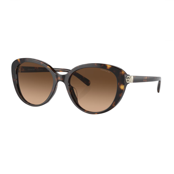 Lentes Coach Café Cat-Eye 512074