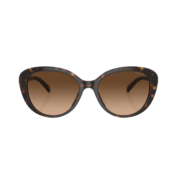 Lentes Coach Café Cat-Eye 512074