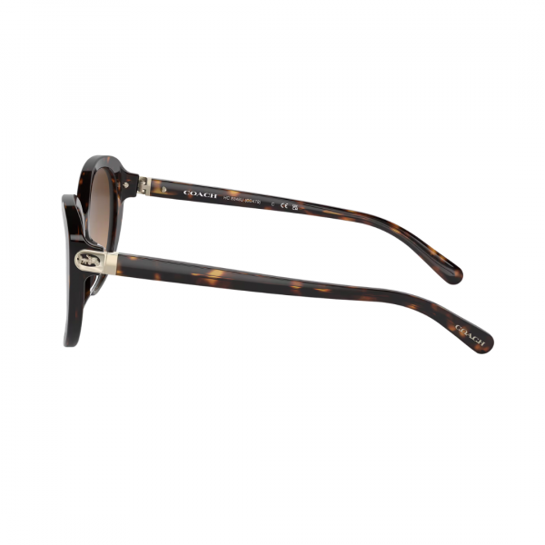 Lentes Coach Café Cat-Eye 512074