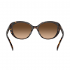 Lentes Coach Café Cat-Eye 512074