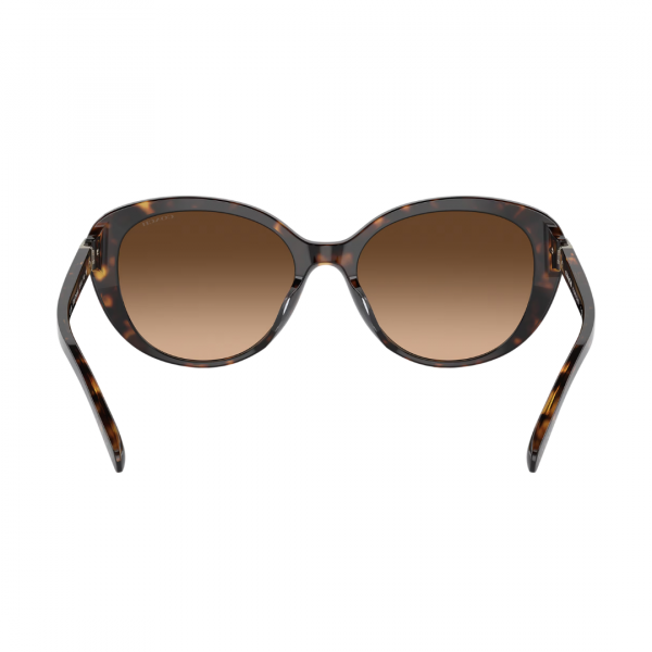 Lentes Coach Café Cat-Eye 512074